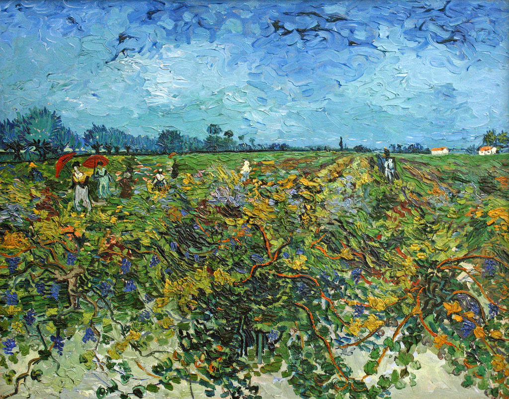 🍇 Зелёный виноградник – Винсент ван Гог (1888)