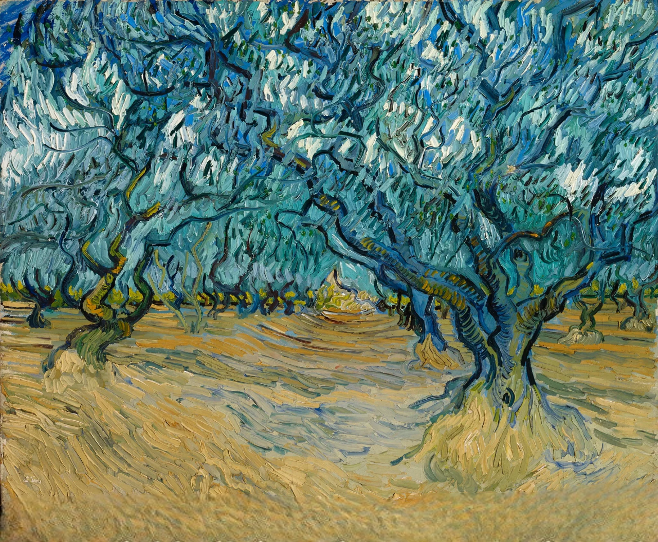 Le Champ d'oliviers - Van Gogh