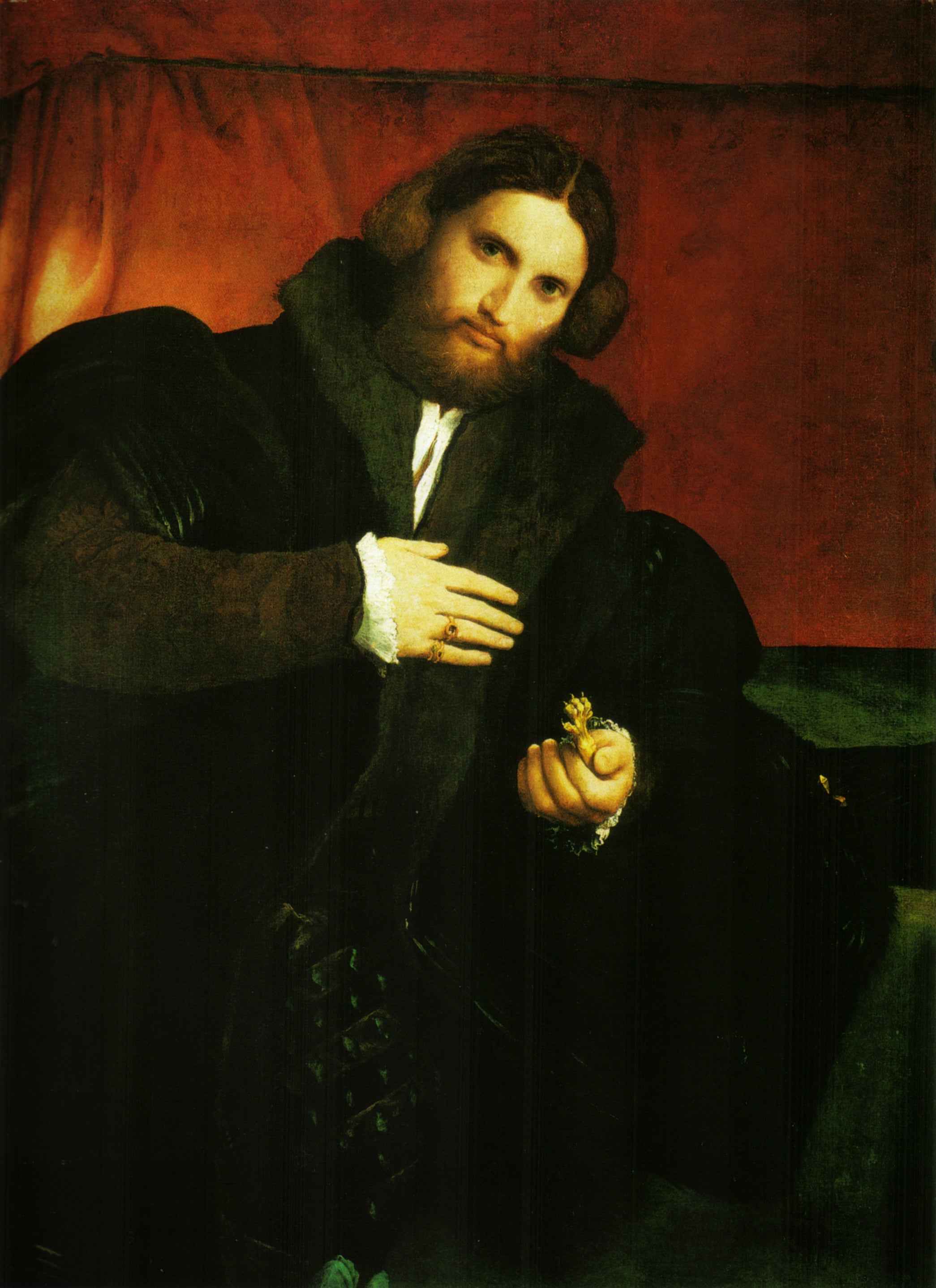Portrait d'un gentilhomme à la patte de lion - Lorenzo Lotto