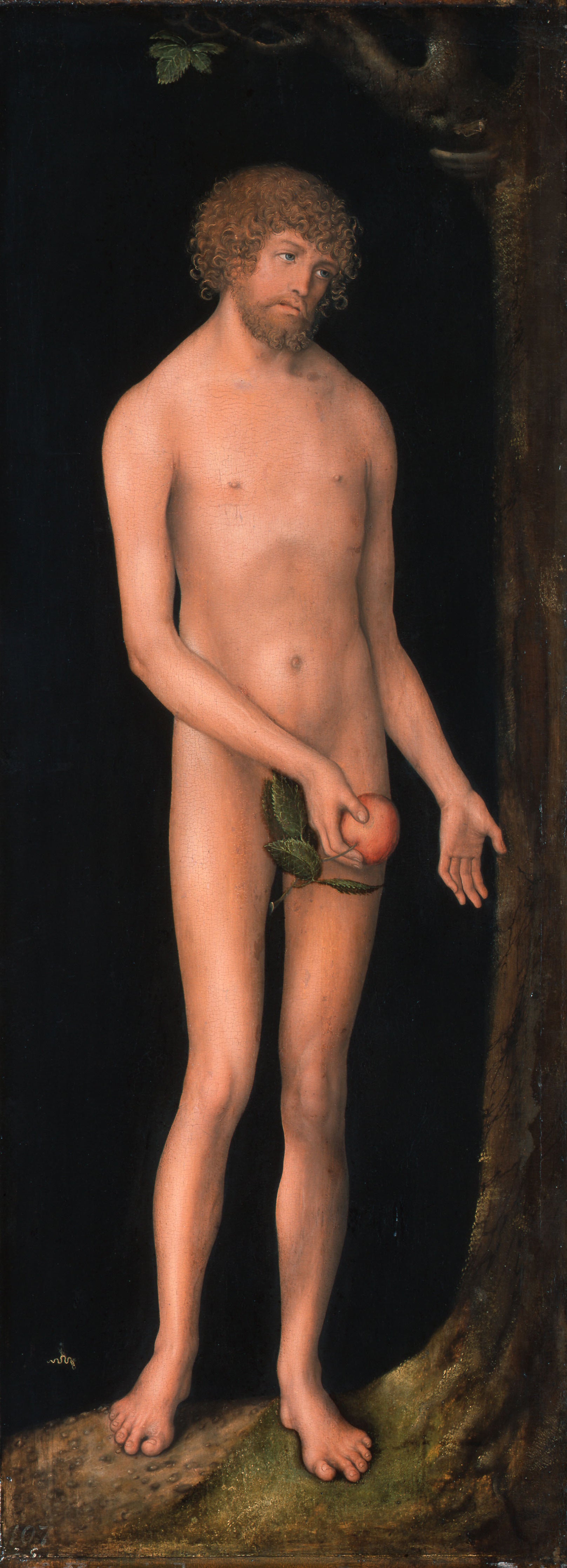 Adam - Lucas Cranach the Elder