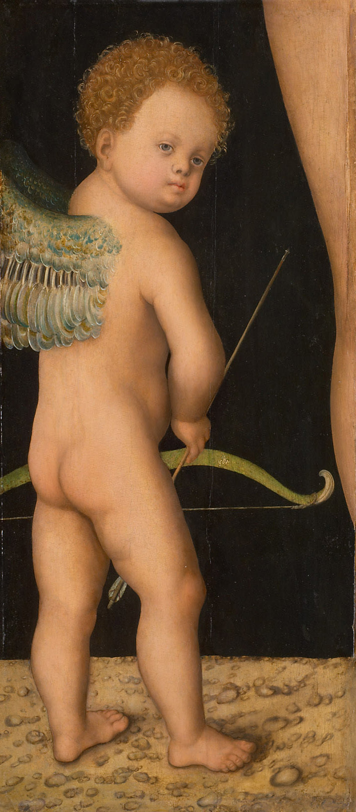 Cupidon - Lucas Cranach the Elder