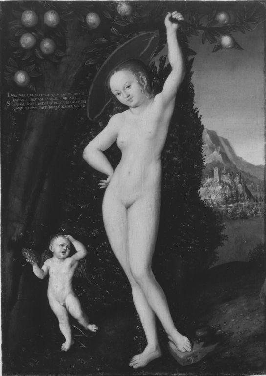 Vénus avec Cupidon le voleur de miel - Lucas Cranach the Elder