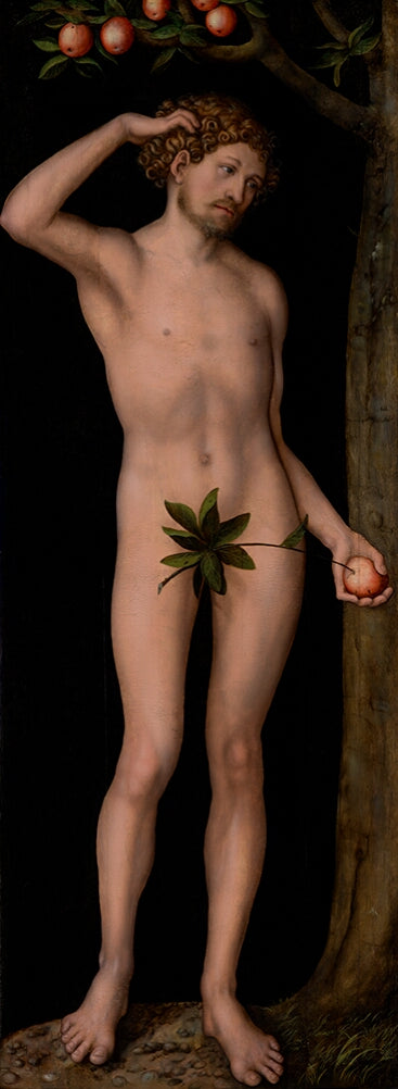 Adam - Lucas Cranach the Elder