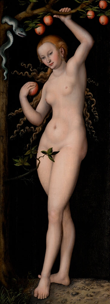 Veille - Lucas Cranach the Elder