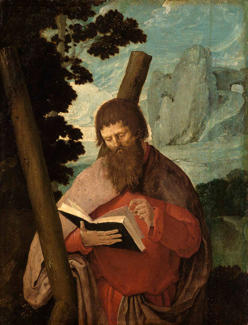 Saint André - Lucas van Leyden