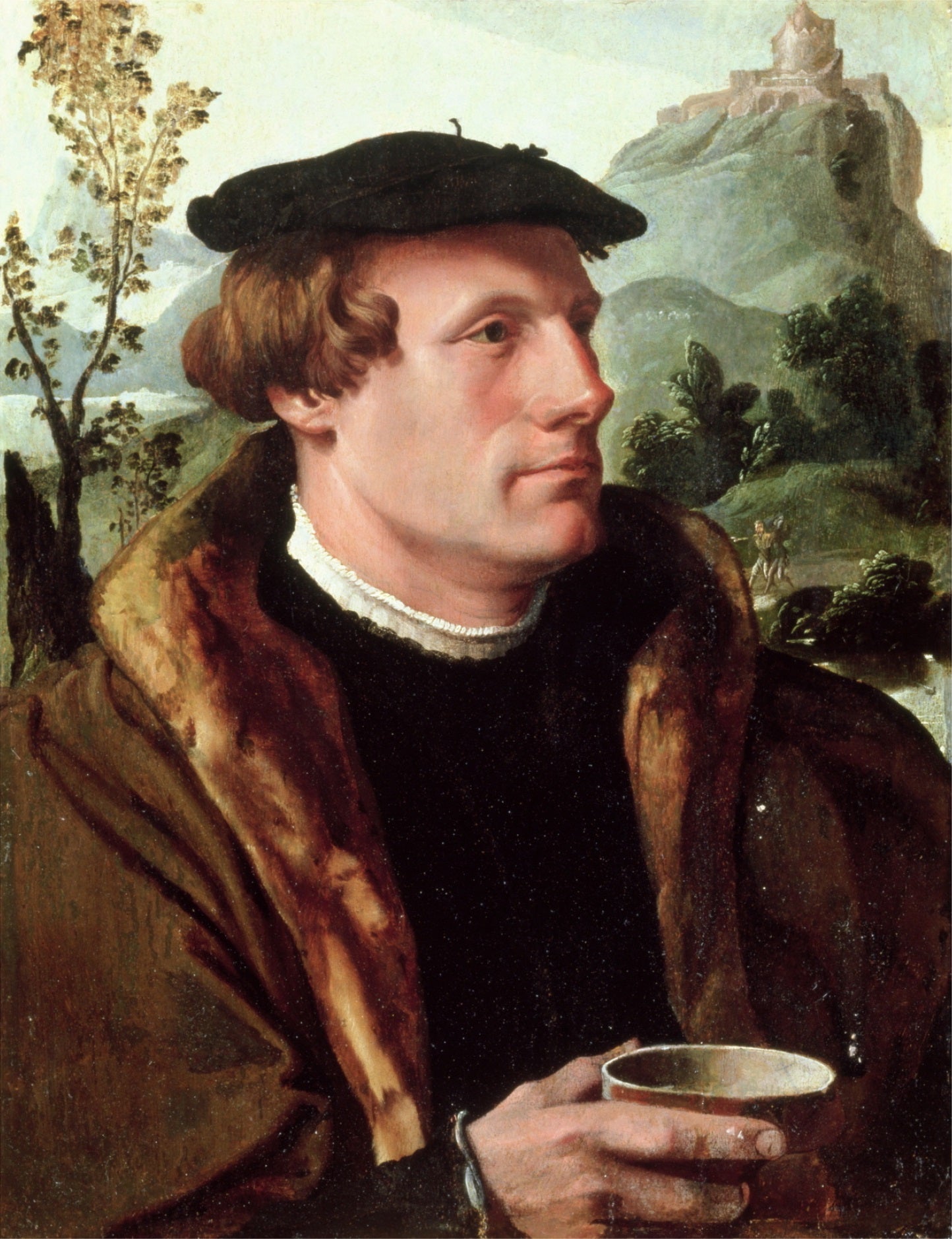 Portrait d'un gentilhomme - Maarten van Heemskerck