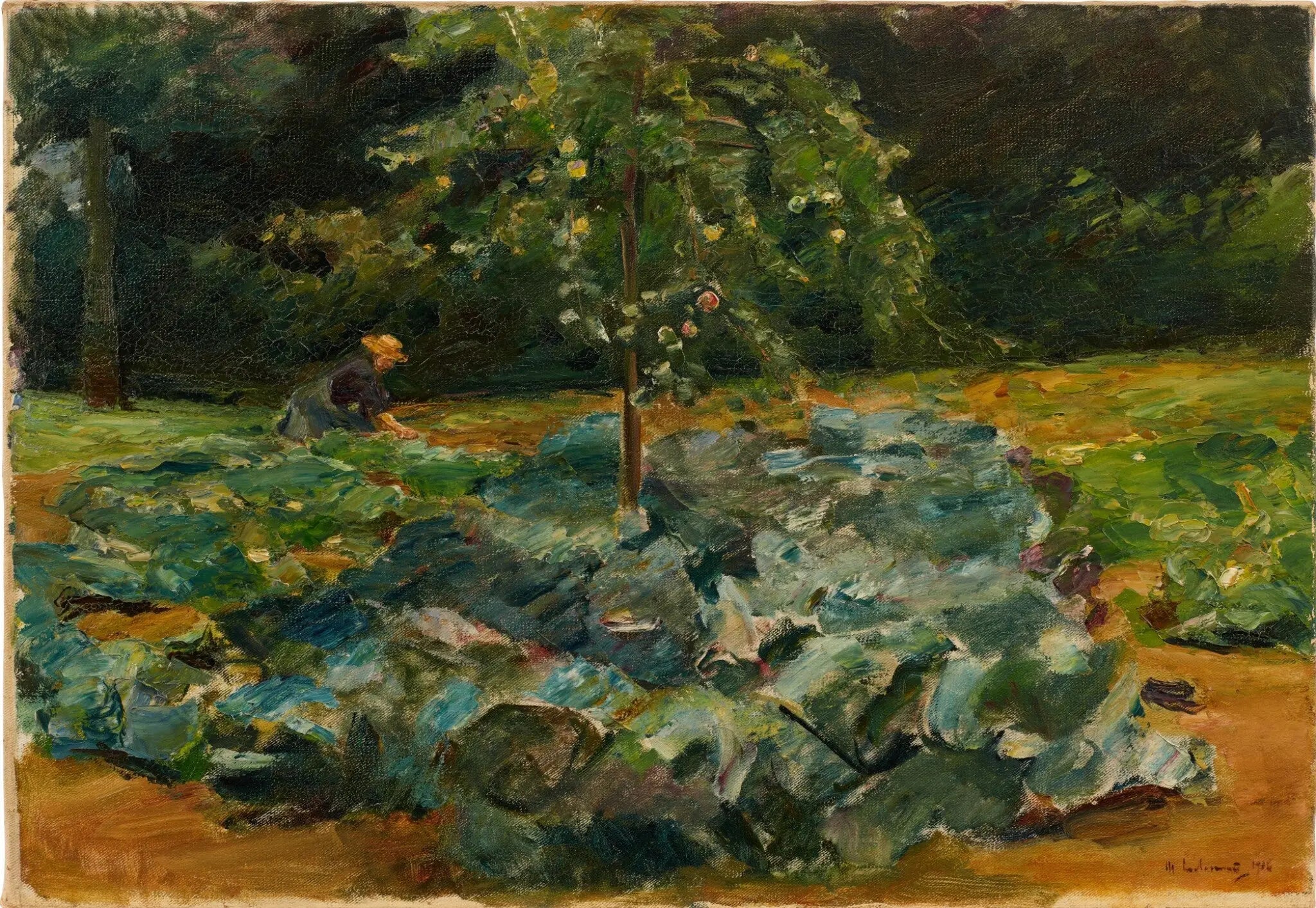 Champ de choux dans le jardin de Wannsee - Max Liebermann - Alpha Reproduction