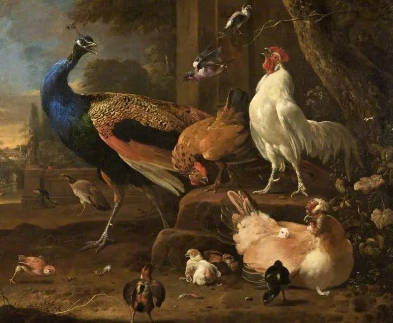 Volaille - Melchior de Hondecoeter - Alpha Reproduction
