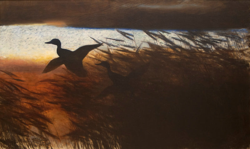 Canards d'été s'élevant - Bruno Liljefors