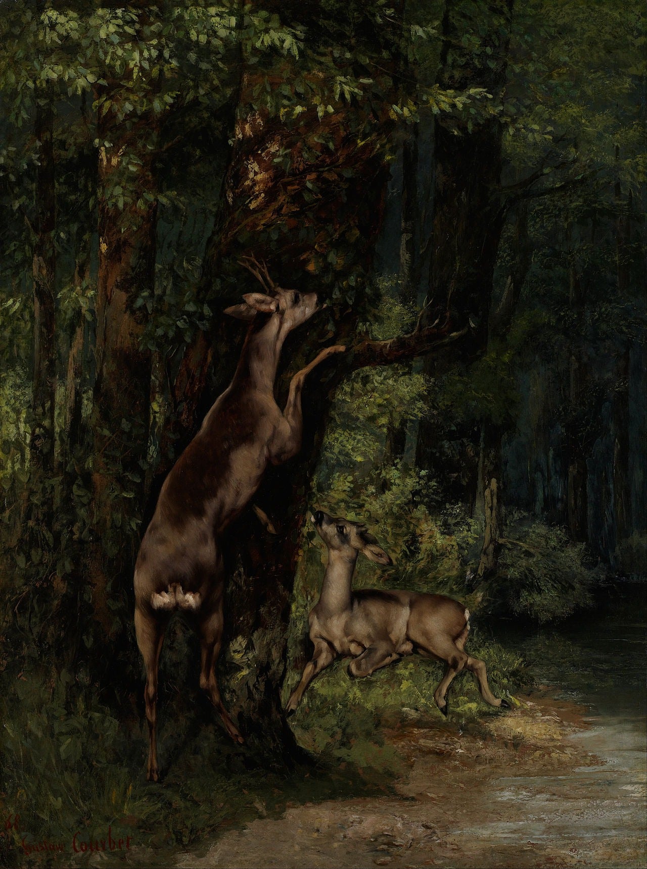 Cerf dans la forêt - Gustave Courbet