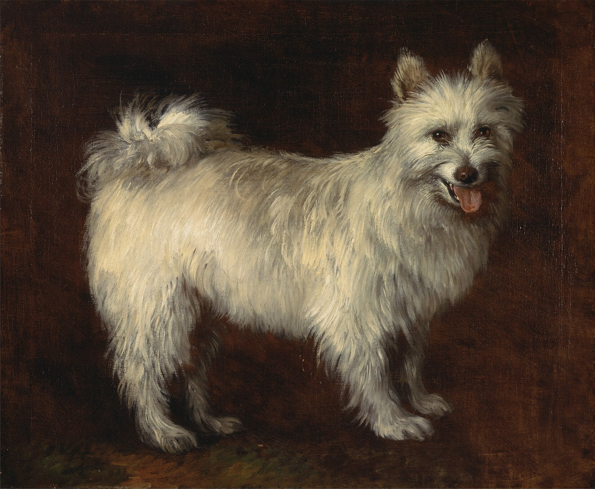 Chien Spitz - Thomas Gainsborough - Alpha Reproduction