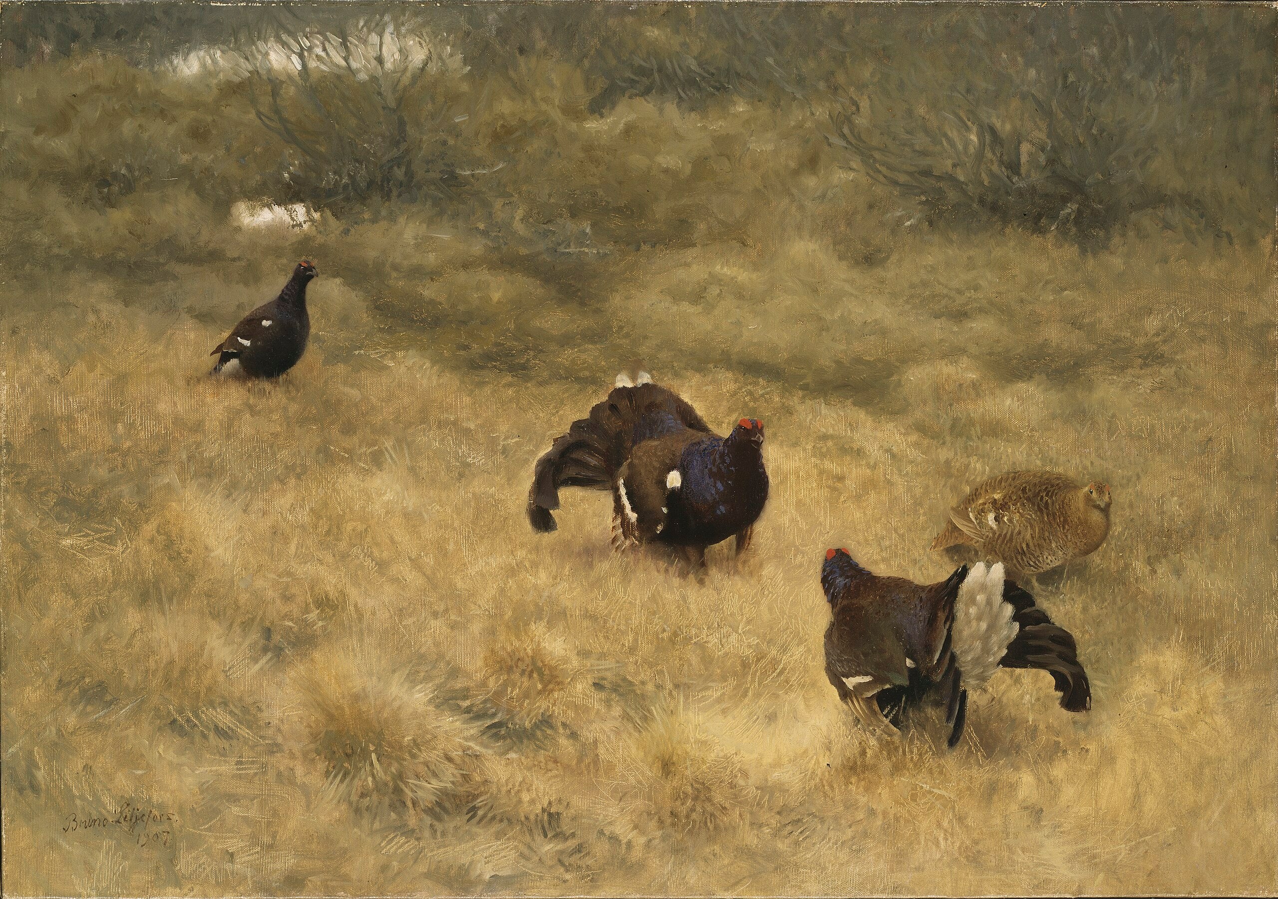 Gibier noir au printemps - Bruno Liljefors