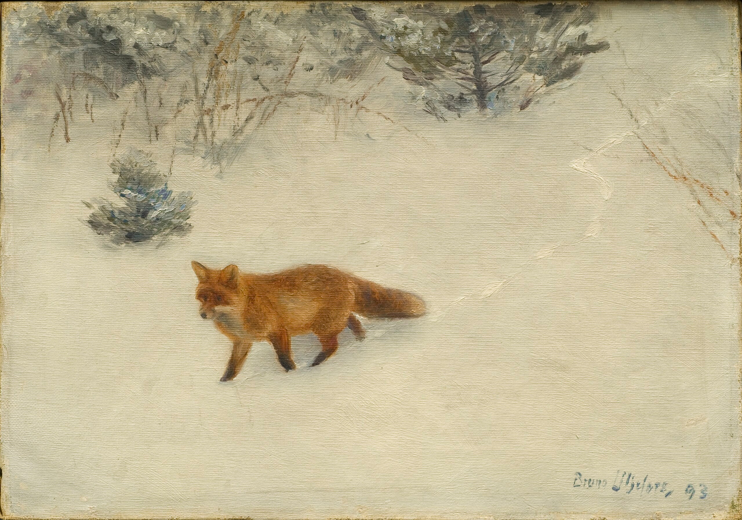 Le renard - Bruno Liljefors