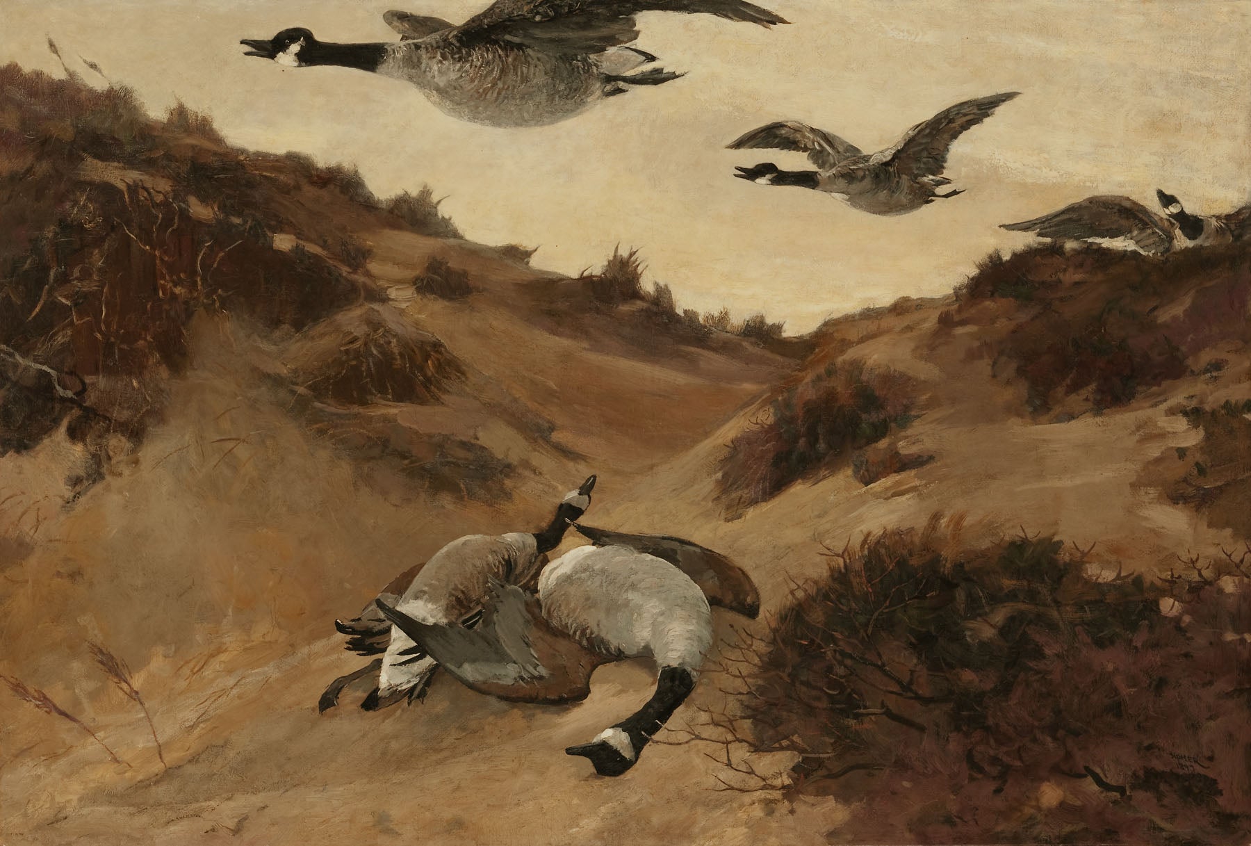 Oies sauvages en vol - Winslow Homer