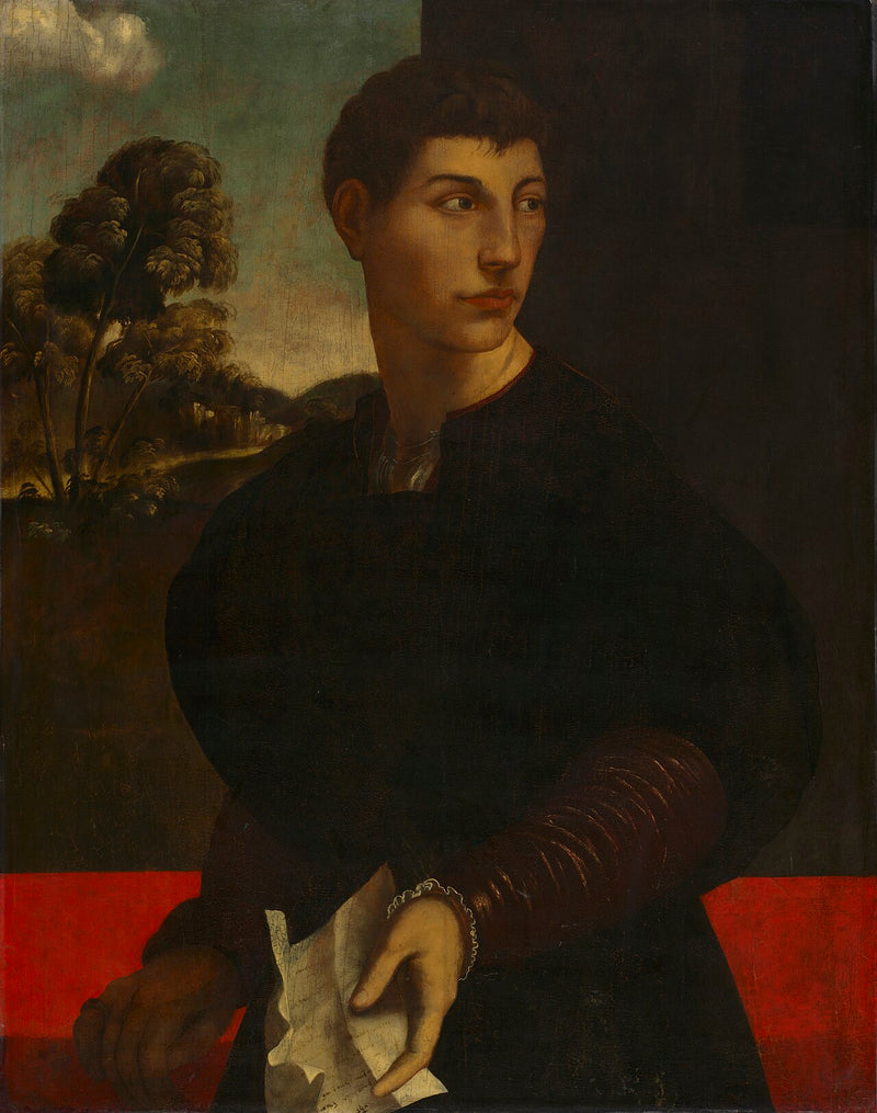 Portrait d'un jeune homme - Dosso Dossi