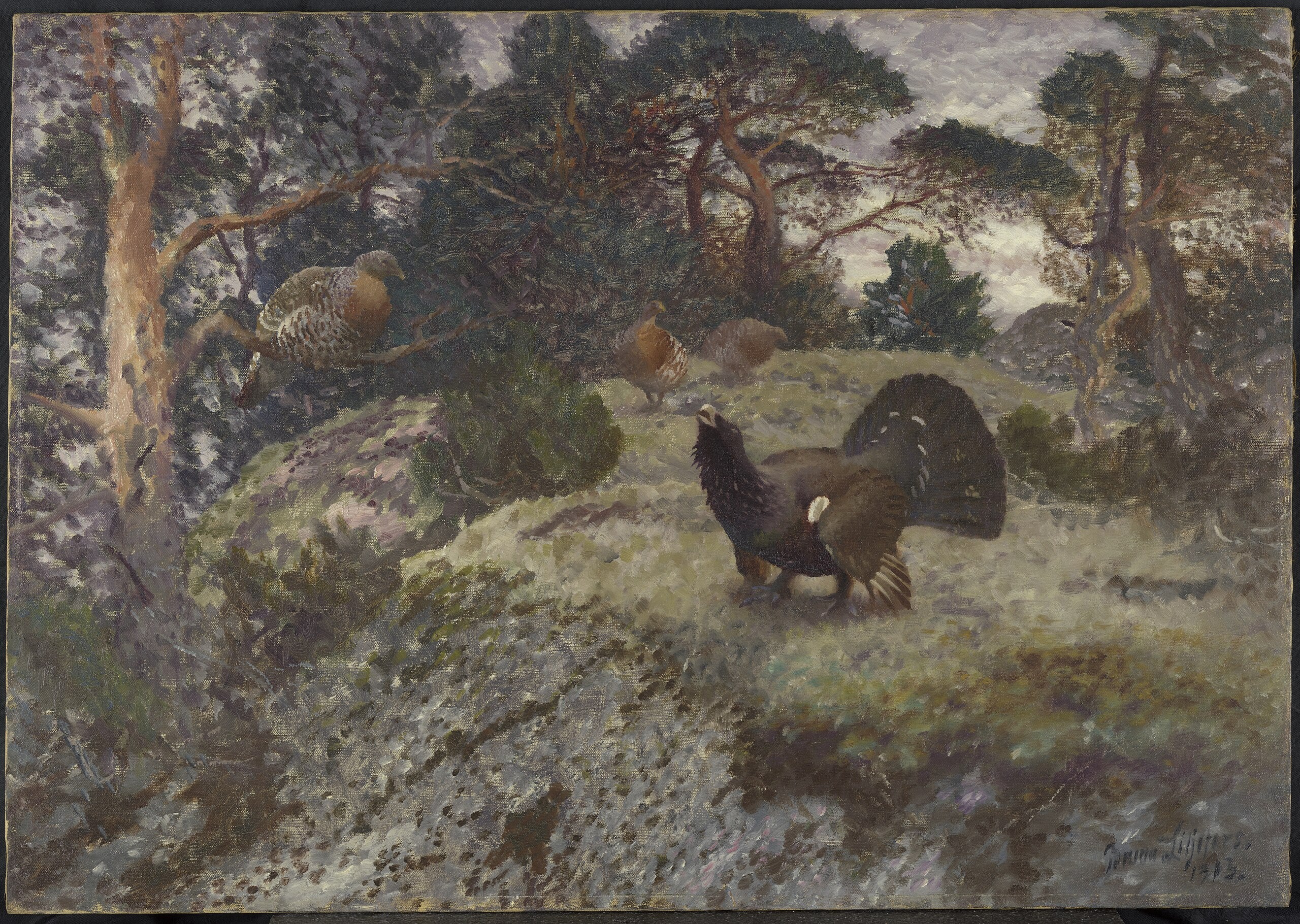 Q43084597 - Bruno Liljefors