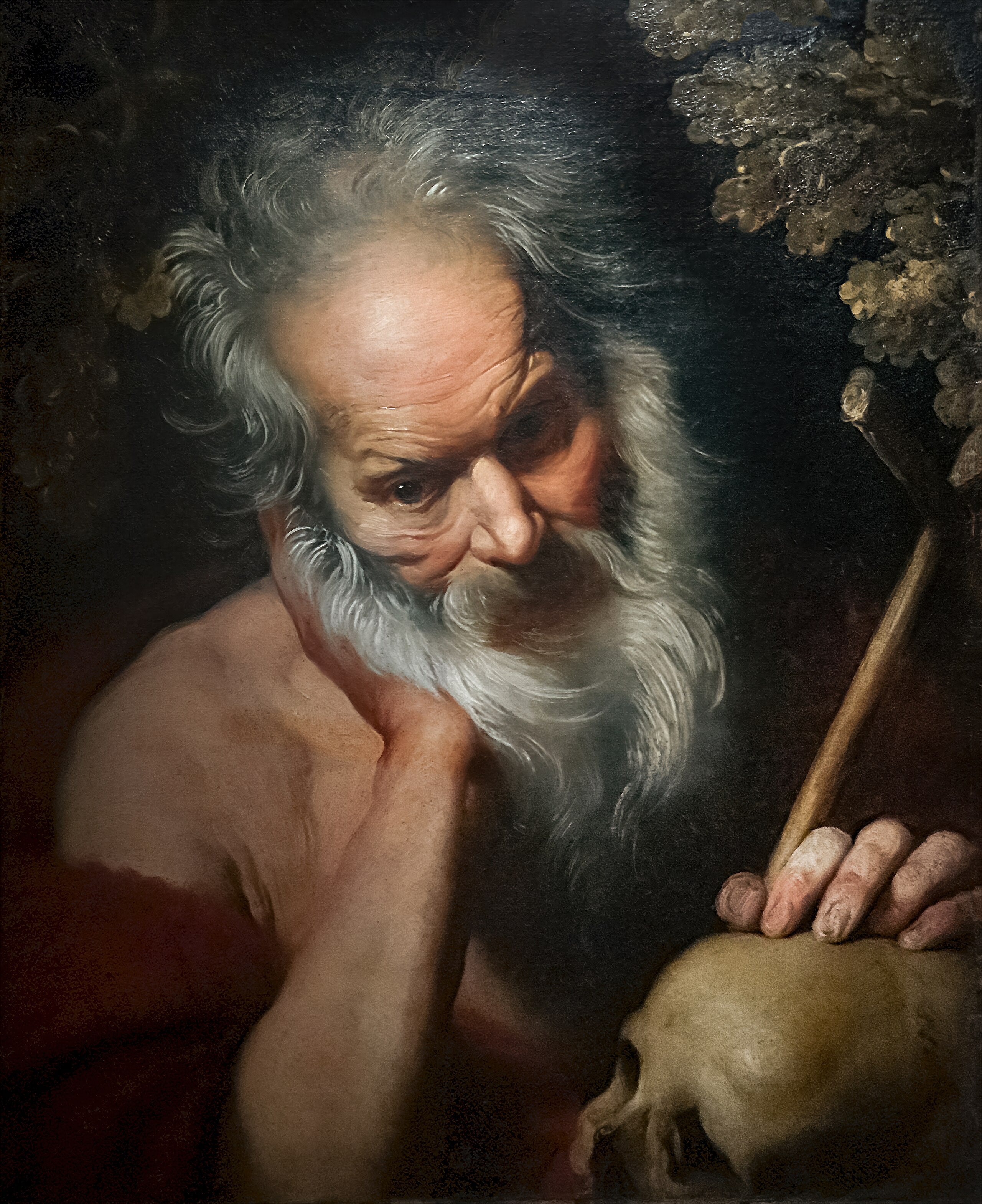 Saint Jérôme - Bernardo Strozzi