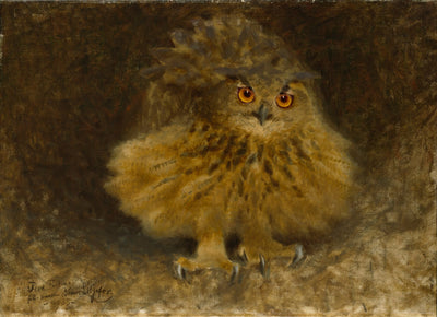 Un hibou grand-duc - Bruno Liljefors