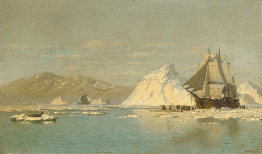 Au large du Groenland — Baleinier en quête d’eaux libres - William Bradford - Alpha Reproduction