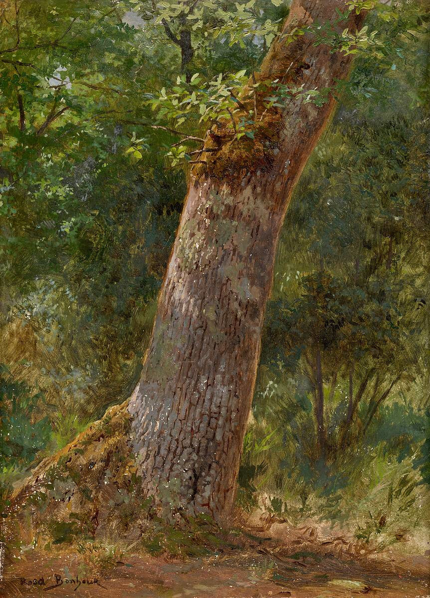 Paysage, étude d'arbres - Rosa Bonheur