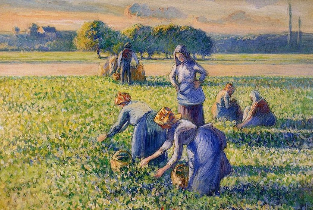 Reproduction du tableau « La Cueillette des pois - Camille Pissarro » par Alpha Reproduction en peinture à l’huile