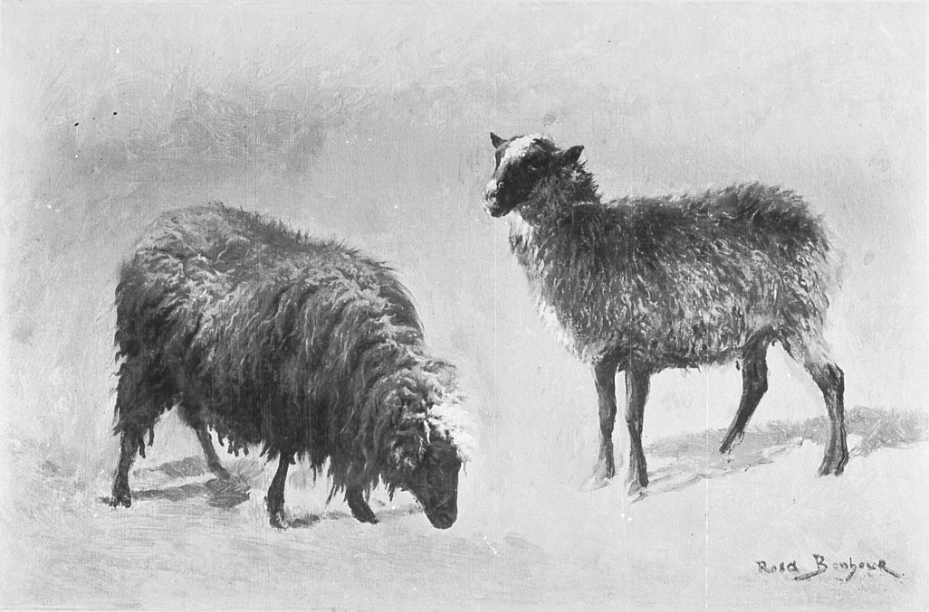 Deux moutons dans le pâturage - Rosa Bonheur