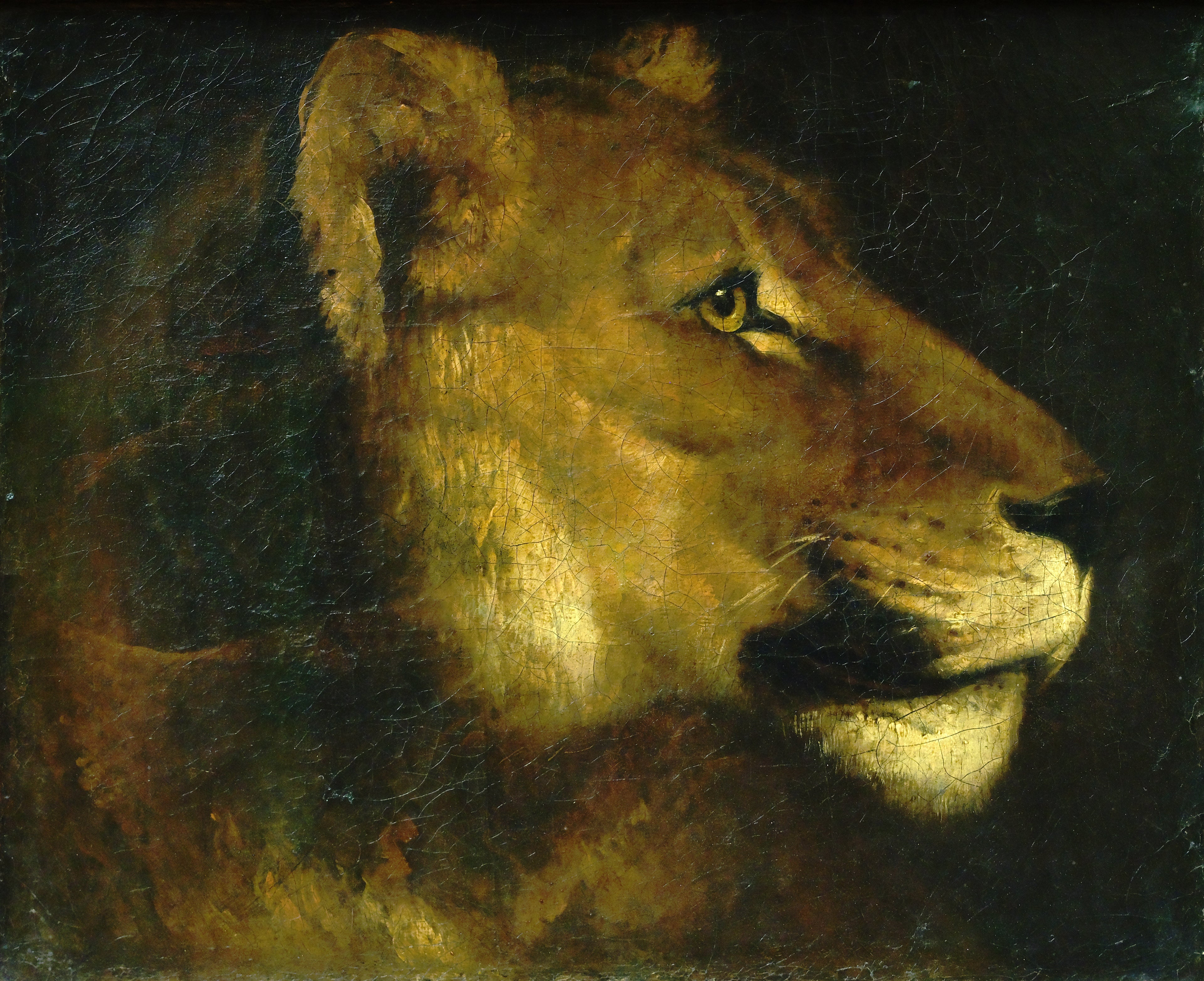 Reproduction du tableau « Tête de lionne - Théodore Géricault » par Alpha Reproduction en peinture à l’huile