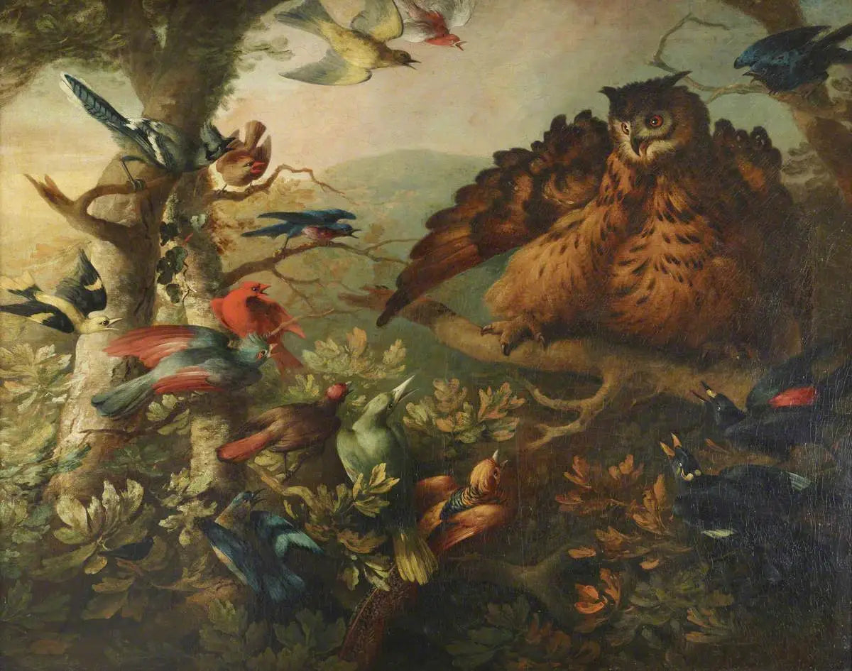 Le harcèlement d’un hibou moyen-duc par d’autres oiseaux - Tobias Stranover - Alpha Reproduction