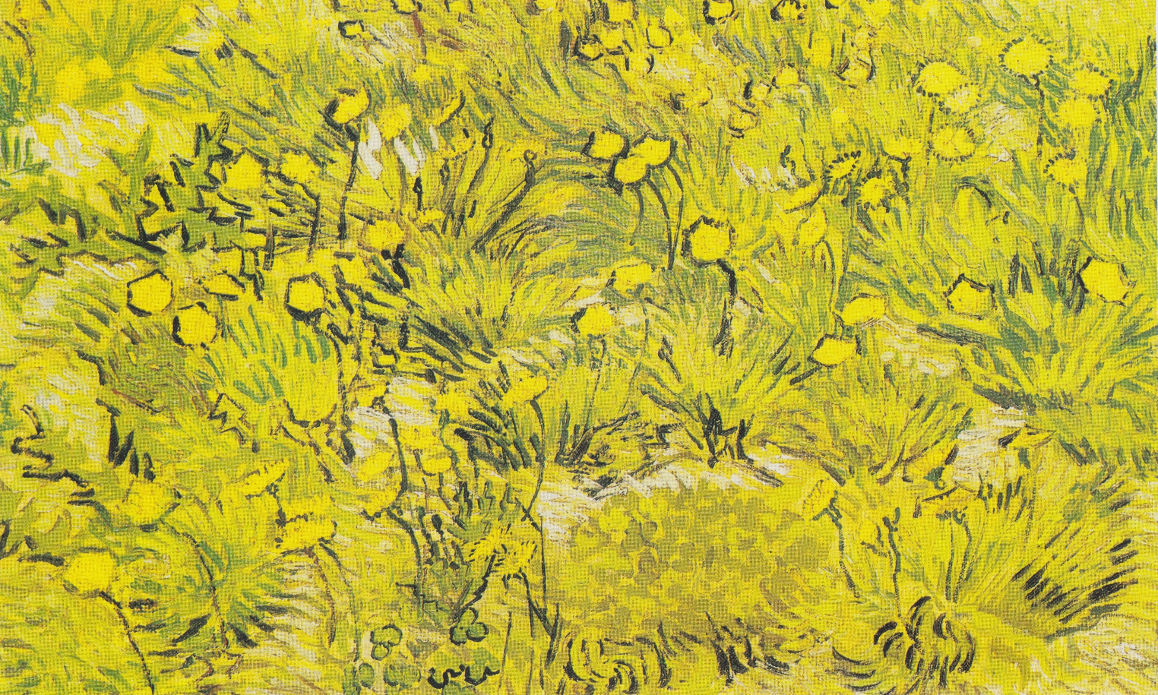 Reproduction du tableau « Prairie aux fleurs jaunes - Vincent van Gogh » par Alpha Reproduction en peinture à l’huile