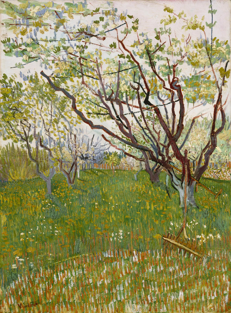 Цветущий сад - Винсент ван Гог