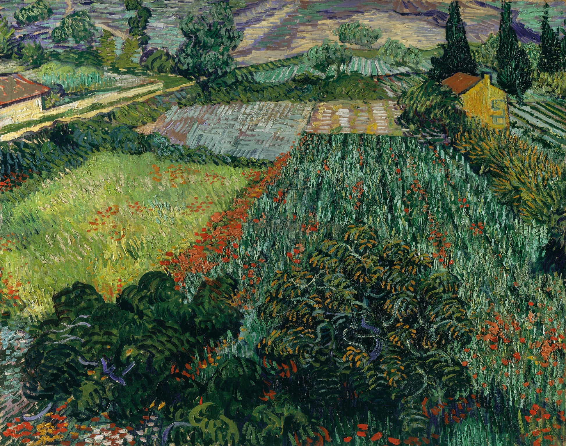 Reproduction du tableau « Champ de coquelicots - Vincent van Gogh » par Alpha Reproduction en peinture à l’huile