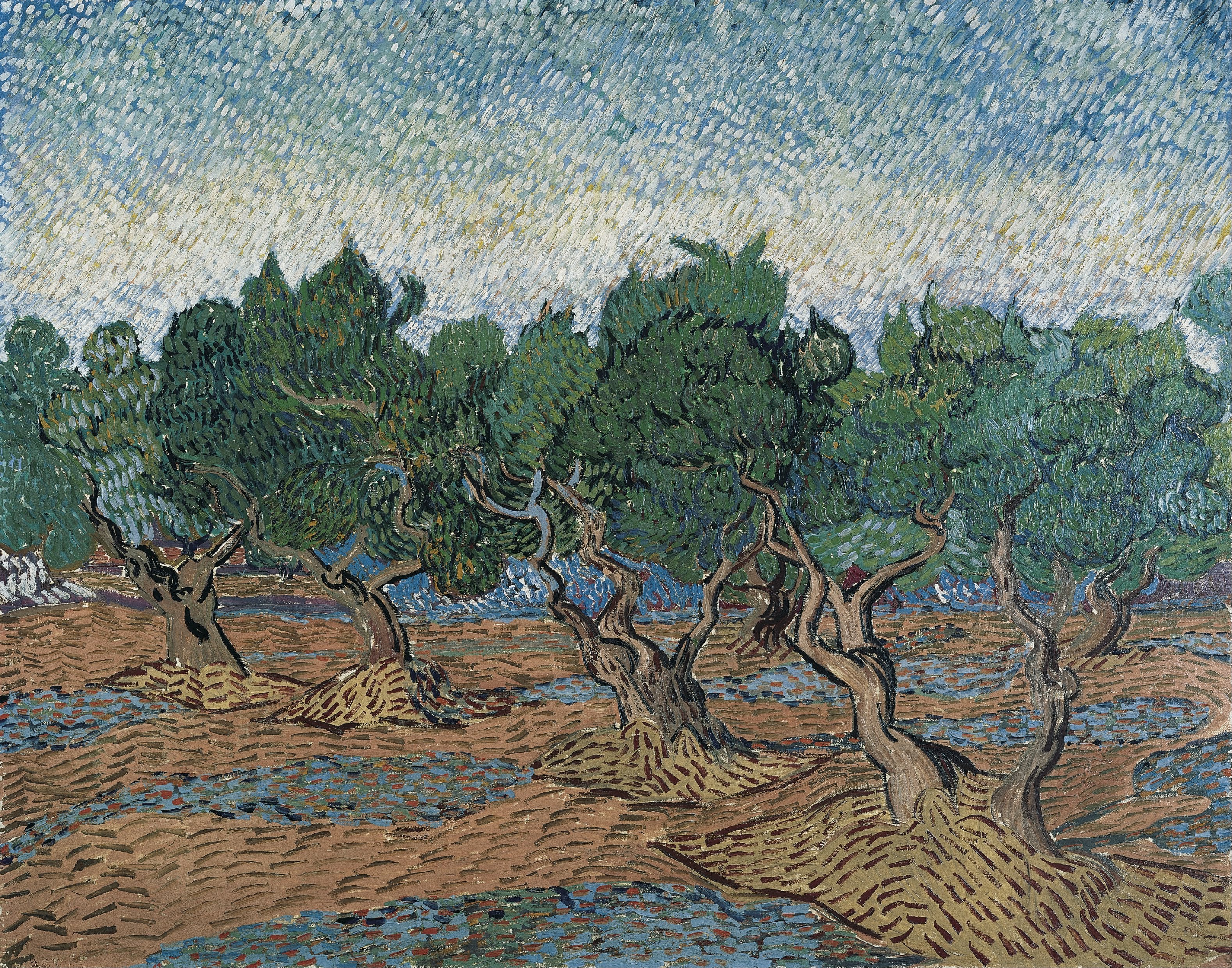 Reproduction du tableau « Oliveraie - Vincent van Gogh » par Alpha Reproduction en peinture à l’huile