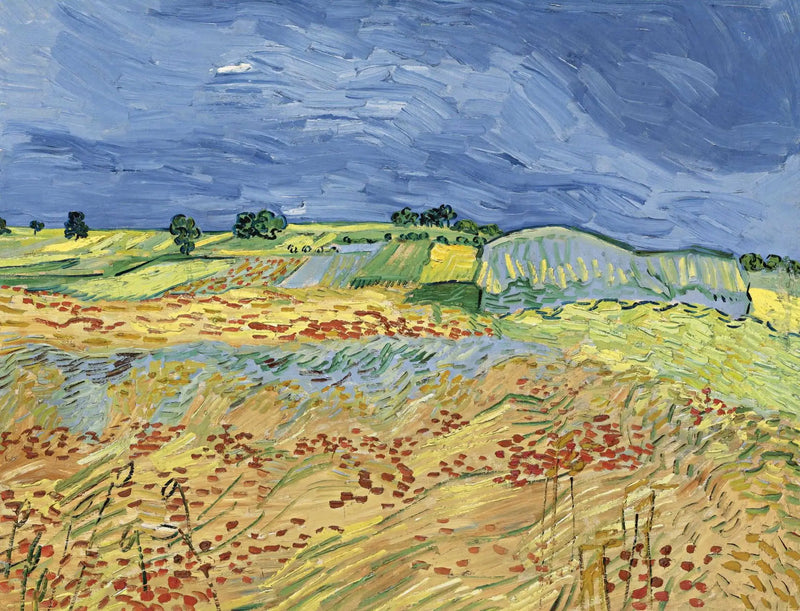 Поля - Винсент Ван Гог