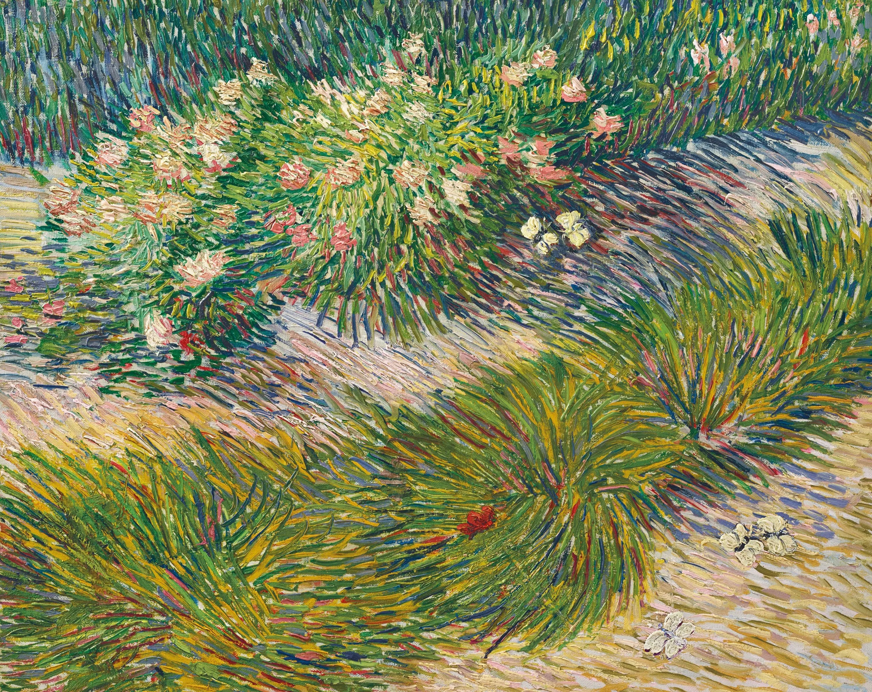 Reproduction du tableau « Coin de jardin avec papillons - Vincent van Gogh » par Alpha Reproduction en peinture à l’huile