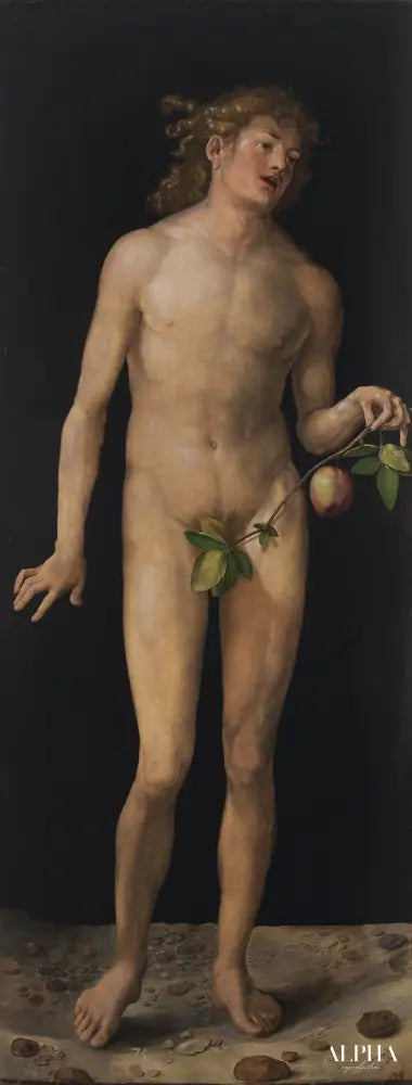 Adam - Albrecht Dürer - Reproductions de tableaux et peintures haut de gamme