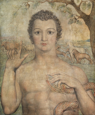 Adam nomme les bêtes - William Blake - Alpha Reproduction