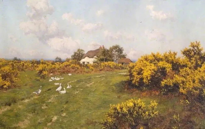 Буксусы на муниципальной территории в Беркшире (Bucklebury Common) - Эдвард Уилкинс Уайт