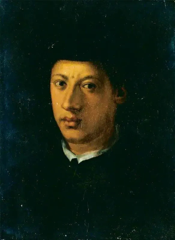 Александр Медичи (1510-1537) - Понтормо