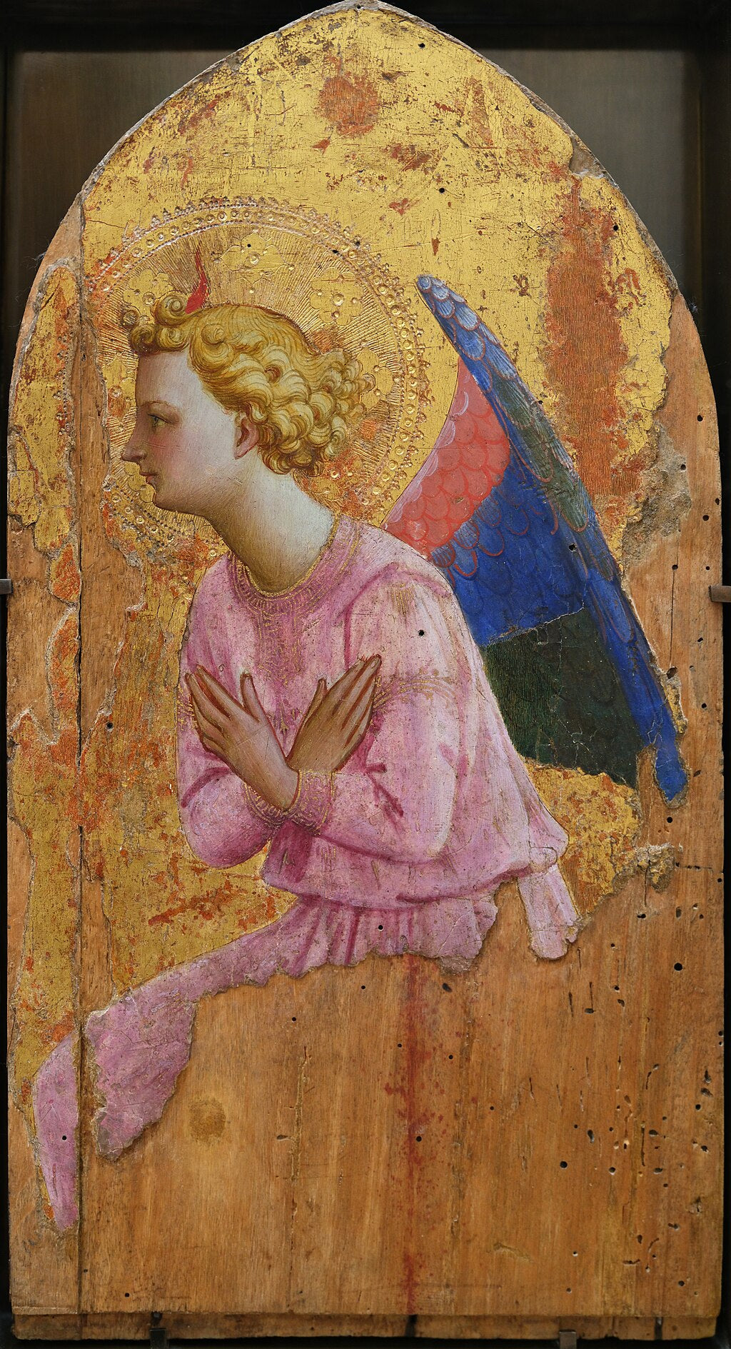 Ange en adoration tourné vers la gauche - Fra Angelico - Alpha Reproduction
