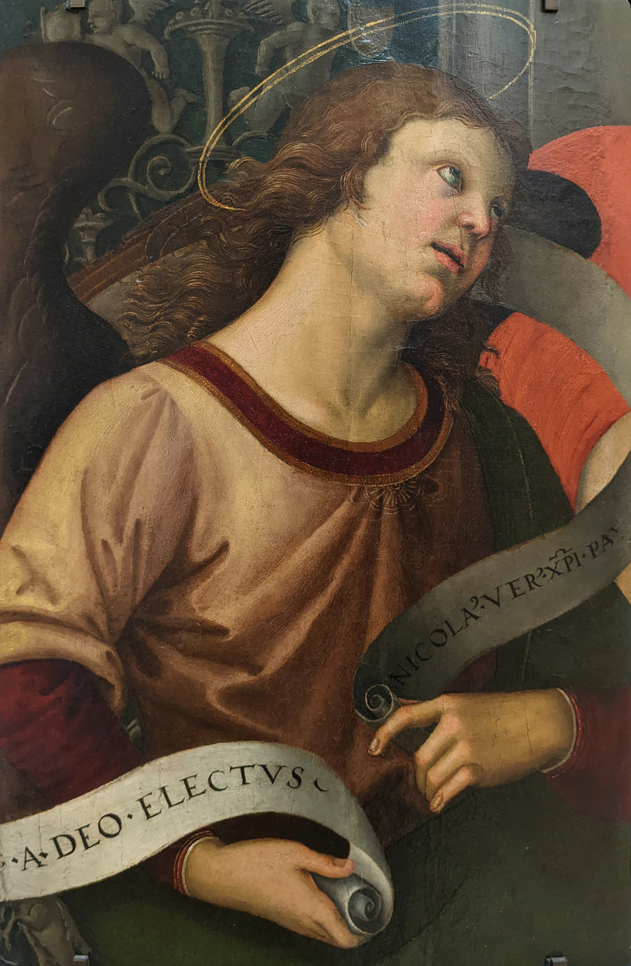 Ange tenant un phylactère, fragment du retable Baronci, vers 1500-1501 – Raphaël