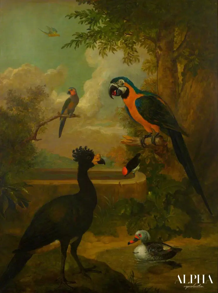 Aras et autres oiseaux dans un paysage - Tobias Stranover - Reproductions de tableaux et peintures haut de gamme