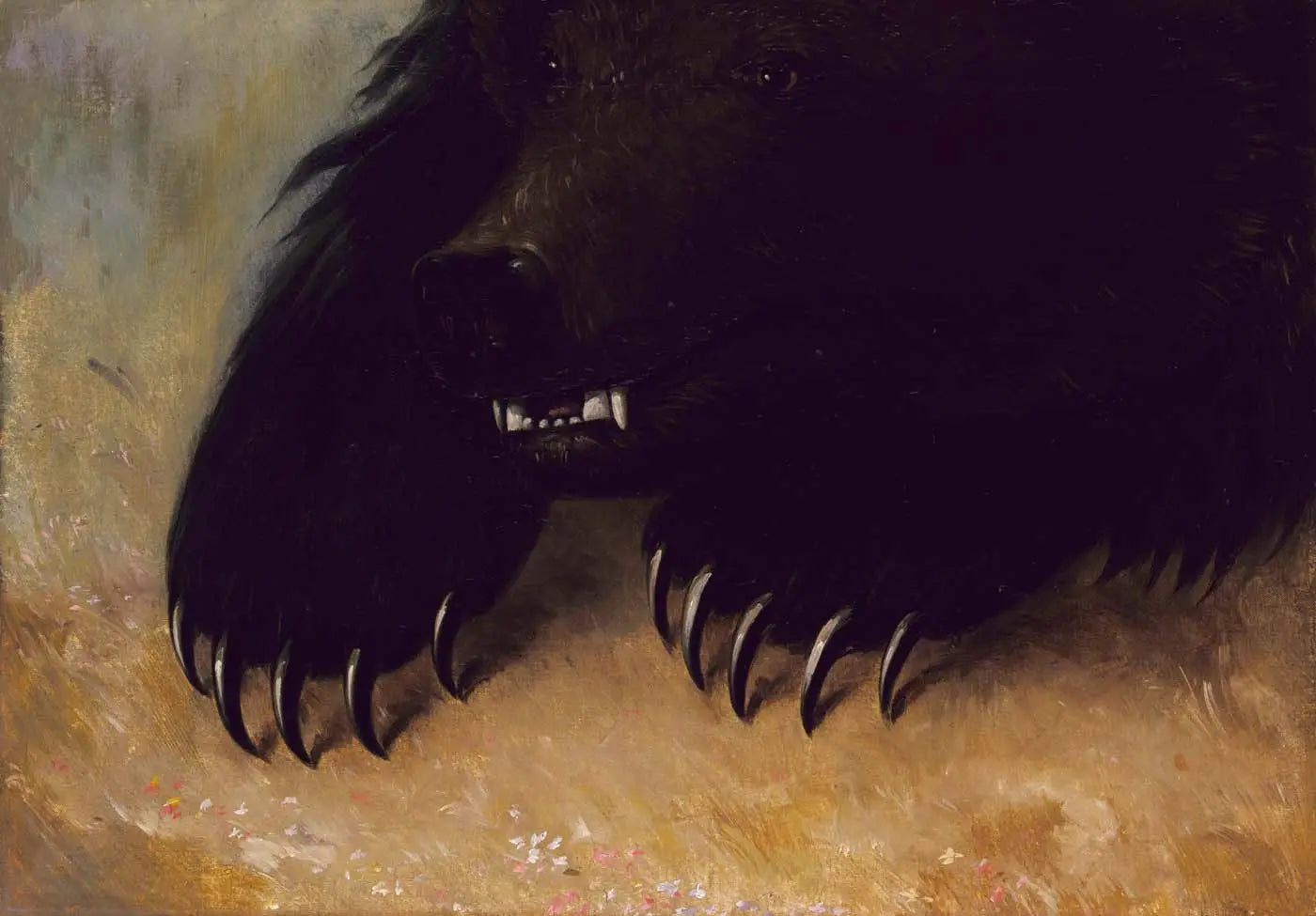 Armes et physionomie de l’ours grizzli - George Catlin - Alpha Reproduction