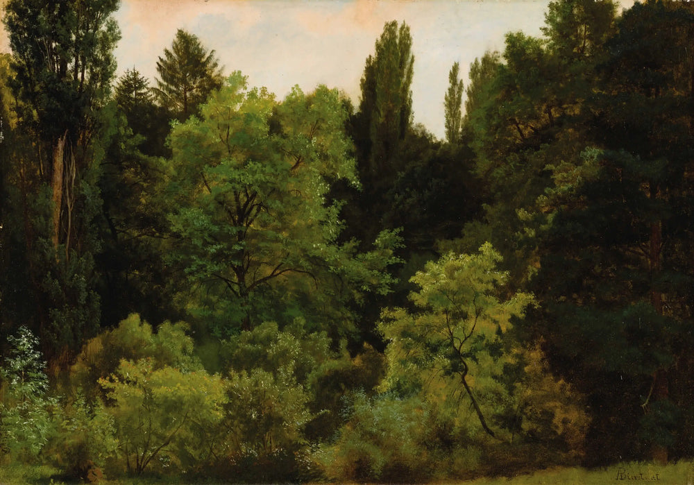 Au cœur des Rocheuses - Albert Bierstadt - Alpha Reproduction