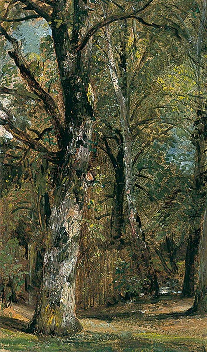 Avenue des Arbres - John Constable - Alpha Reproduction