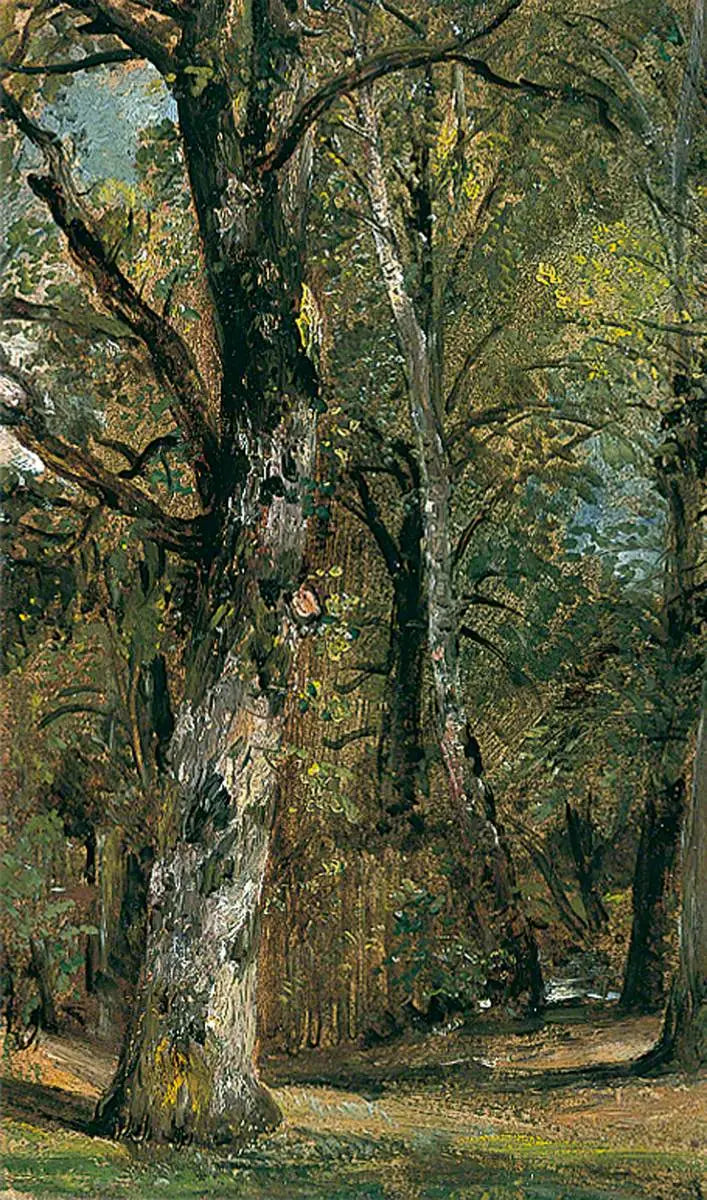 Авеню де Арбр - Джон Констебл