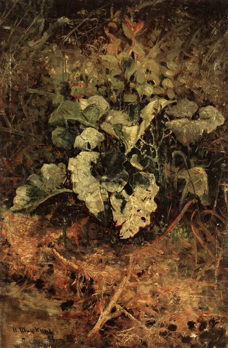 Барджане - Иван Чичкин