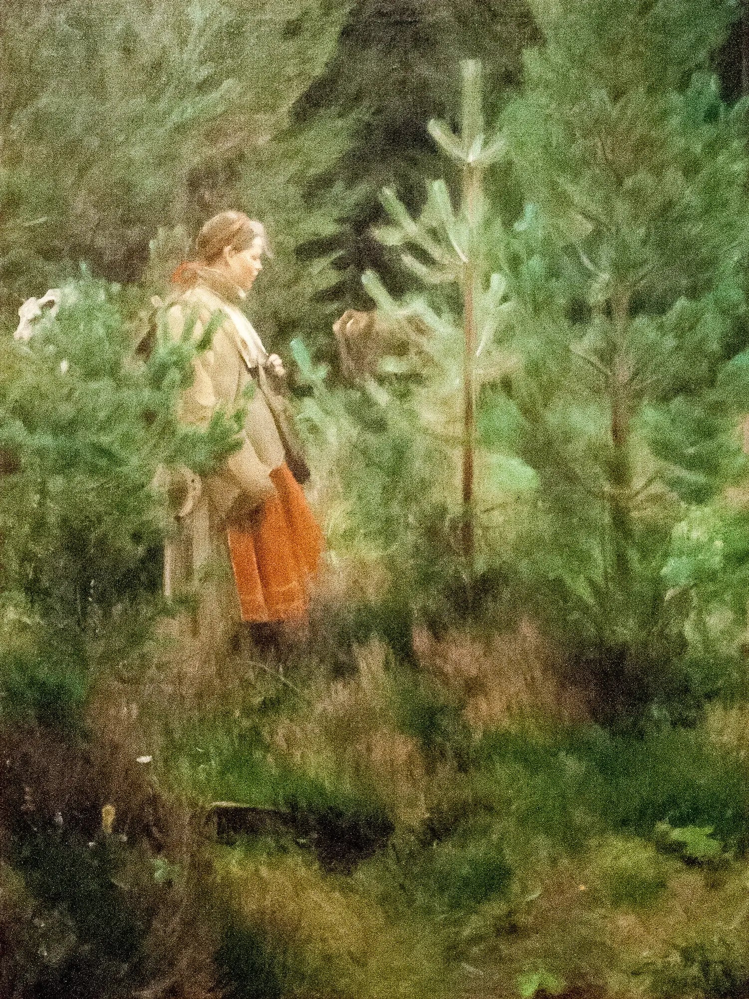 Bergère - Anders Zorn - Alpha Reproduction