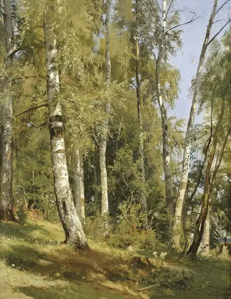 Берёзовая роща - Иван Чичкин