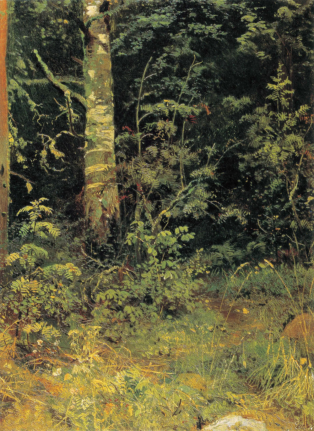 Bouleau et sorbier - Ivan Chichkine - Alpha Reproduction