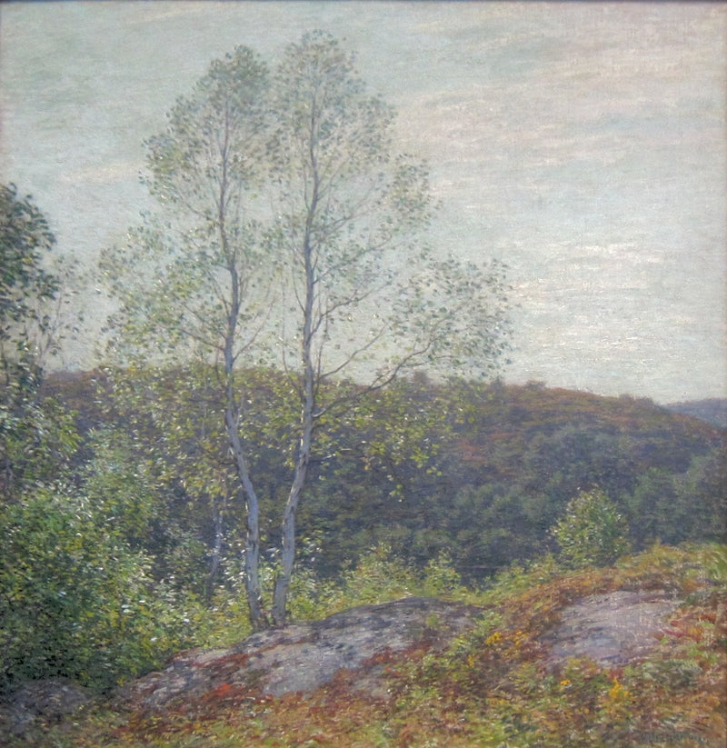 Близнецы берёзы - Уиллард Меткалф